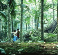 Illinbah circuit - Accommodation Great Ocean Road