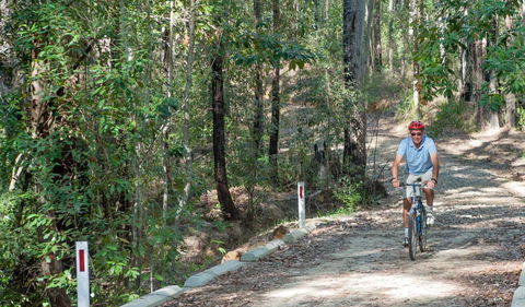 Monument Beach Ride From Bendalong - Accommodation Great Ocean Road 2