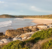 Burrawang track - Conjola Beach to Buckleys Point - Accommodation Great Ocean Road