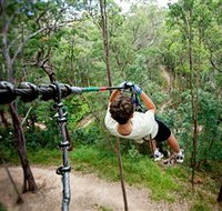 TreeTop Challenge - Accommodation Great Ocean Road