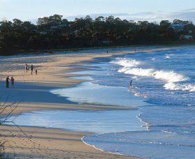 Mollymook Beach - Accommodation Great Ocean Road 1
