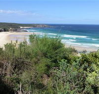 South Pacific Heathland Reserve - Accommodation Great Ocean Road