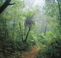 Wagawn - Accommodation Great Ocean Road