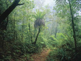 Wagawn - Accommodation Great Ocean Road 0
