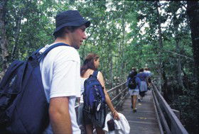 Wagawn - Accommodation Great Ocean Road 1