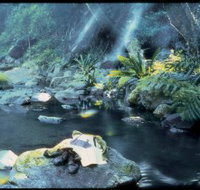 Coomera circuit - Accommodation Great Ocean Road