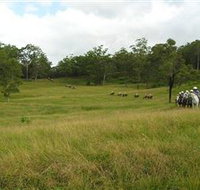 Numinbah Valley Adventure Trails - Accommodation Great Ocean Road