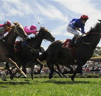 Moruya Racecourse - Accommodation Great Ocean Road
