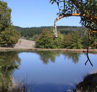 Oak Grove Walk Balingup - Accommodation Great Ocean Road