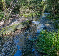 Dawson River walking track - Accommodation Great Ocean Road