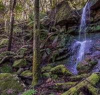 Coorabakh National Park - Accommodation Great Ocean Road