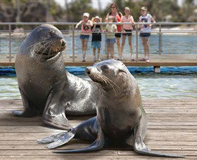 Australia's Sea World - Accommodation Great Ocean Road 1