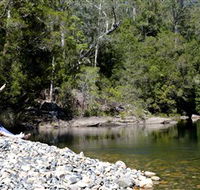 Mount Boss State Forest - Accommodation Great Ocean Road