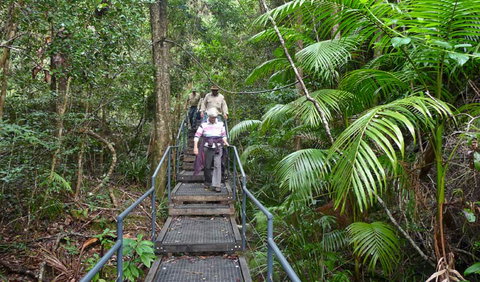 Falls Walking Track - Accommodation Great Ocean Road 2