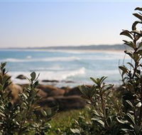 Cape Conran Coastal Park - Accommodation Great Ocean Road