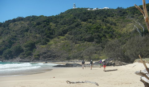 Jack Perkins Walking Track - Accommodation Great Ocean Road 0
