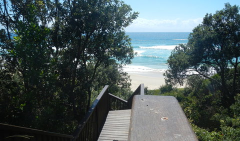 Jack Perkins Walking Track - Accommodation Great Ocean Road 2