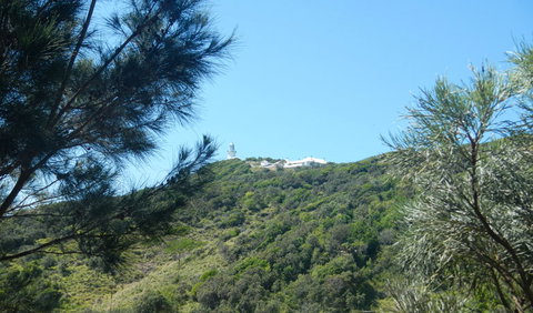 Jack Perkins Walking Track - Accommodation Great Ocean Road 3