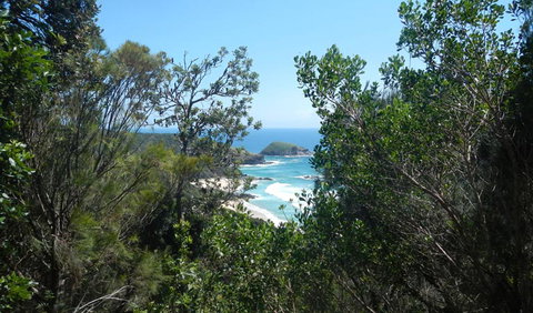 Jack Perkins Walking Track - Accommodation Great Ocean Road 1