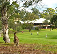 Pambula Merimbula Golf Club - Accommodation Great Ocean Road