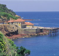 Merimbula Aquarium - Accommodation Great Ocean Road