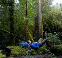 The Tarkine Drive - Accommodation Great Ocean Road