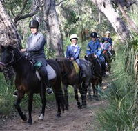 Mirravale Horse Riding School - Accommodation Great Ocean Road