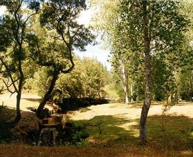 Oldina Picnic Area - Accommodation Great Ocean Road 0