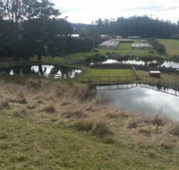 Guide Falls Farm - Accommodation Great Ocean Road