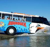 Aquaduck Safaris - Accommodation Great Ocean Road