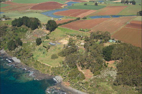 Winged House - The - Accommodation Great Ocean Road 0