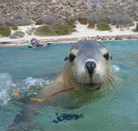 Calypso Star Charters - Accommodation Great Ocean Road