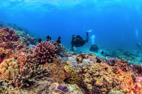 Sunreef Mooloolaba - Accommodation Great Ocean Road 8