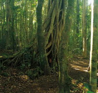 Tullawallal circuit - Accommodation Great Ocean Road