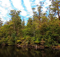 A R Reflections River Cruises - Accommodation Great Ocean Road