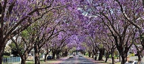 Yamba Tours And Charters - Accommodation Great Ocean Road 6