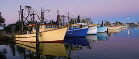 Yamba Tours And Charters - Accommodation Great Ocean Road 14