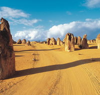 Pinnacles Desert Koalas and Sandboarding 4WD Day Tour from Perth - Accommodation Great Ocean Road