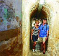 Rottnest Island Full-Day Trip With Guided Island Tour From Perth - Accommodation Great Ocean Road