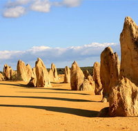 Pinnacles and Yanchep National Park Day Trip from Perth Including Lobster Shack Lunch and Sandboarding - Accommodation Great Ocean Road