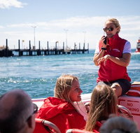 Rottnest Island Tour from Perth or Fremantle including Adventure Speed Boat Ride - Accommodation Great Ocean Road