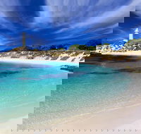 Rottnest Island Grand Tour Including Lunch and Historical Train Ride - Accommodation Great Ocean Road
