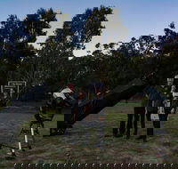 Stargazing Busselton with Mobile Observatory - Accommodation Great Ocean Road