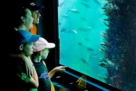 2-hour Busselton Jetty Package: Jetty Train And Underwater Observatory - Accommodation Great Ocean Road 1