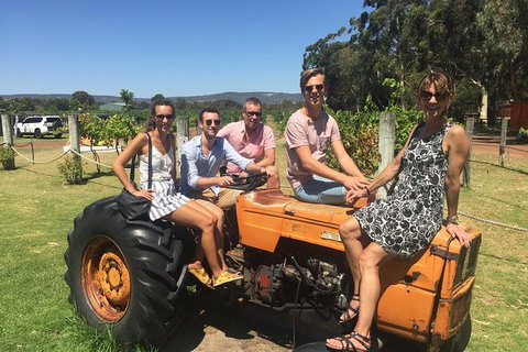 Half Day Swan Valley Wine Tour - Accommodation Great Ocean Road 6