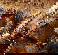 Jewel Cave Fully-guided Tour - Accommodation Great Ocean Road