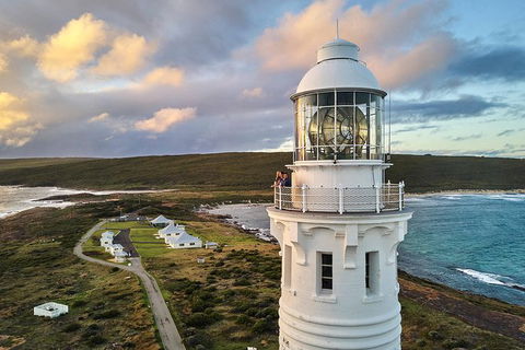 Cape Leeuwin Lighthouse Fully-guided Tour - Accommodation Great Ocean Road 0