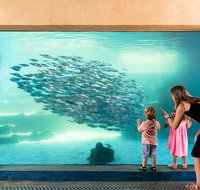 AQWA The Aquarium of Western Australia General Admission - Accommodation Great Ocean Road