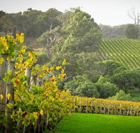 Half-Day Swan Valley  Wildlife Park Tour - Accommodation Great Ocean Road