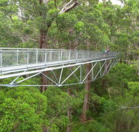 Albany Southwest Wilderness Day Tour - Fly From Perth - Accommodation Great Ocean Road